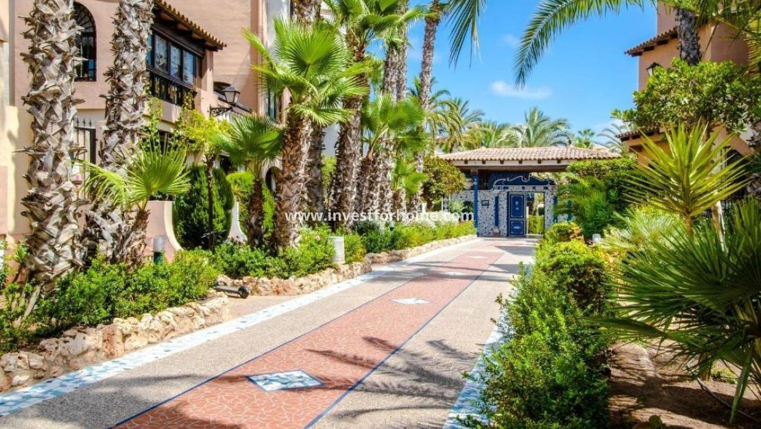 Verkoop - Appartement - Torrevieja - Nueva Torrevieja - Aguas Nuevas