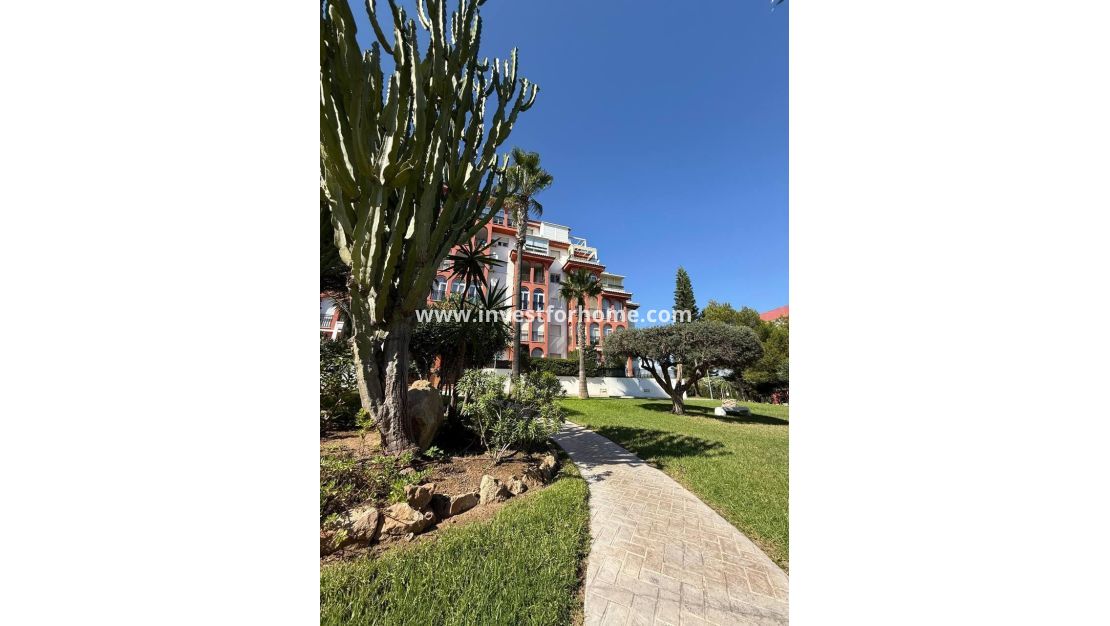 Verkoop - Appartement - Torrevieja - Nueva Torrevieja - Aguas Nuevas