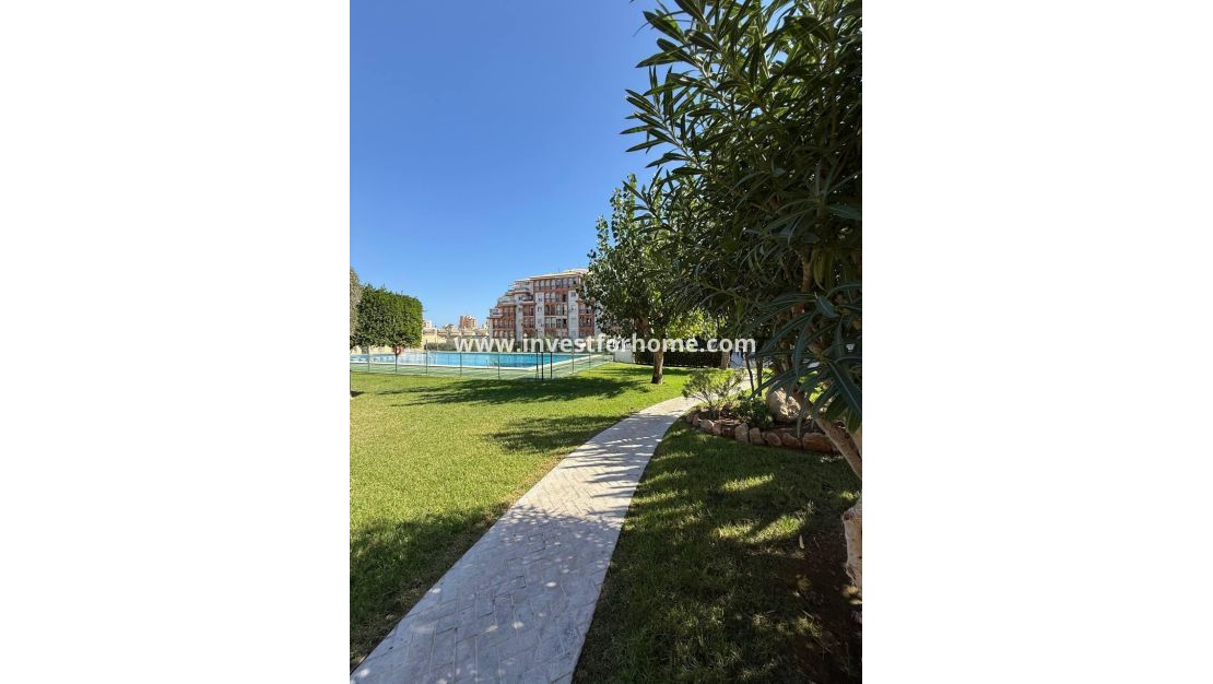 Verkoop - Appartement - Torrevieja - Nueva Torrevieja - Aguas Nuevas