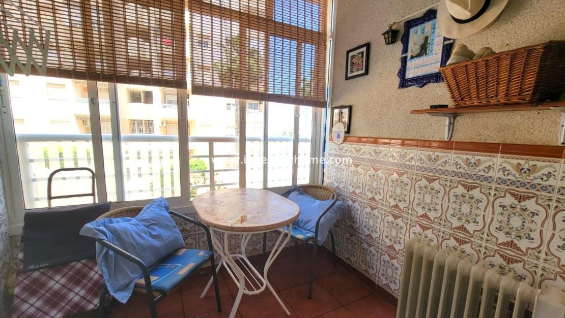 Verkoop - Appartement - Torrevieja - Nueva Torrevieja - Aguas Nuevas