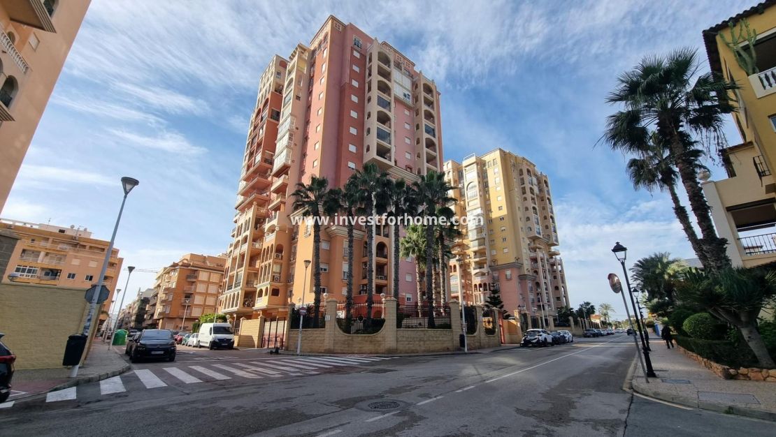 Verkoop - Appartement - Torrevieja - Nueva Torrevieja - Aguas Nuevas
