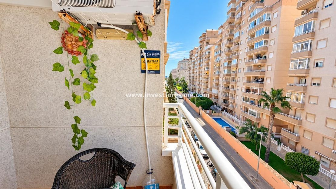 Verkoop - Appartement - Torrevieja - Nueva Torrevieja - Aguas Nuevas