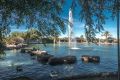 Verkoop - Appartement - Torrevieja - Parque Las Naciones