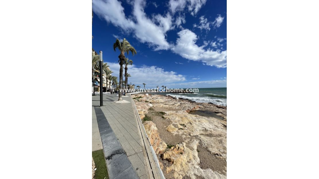 Verkoop - Appartement - Torrevieja - Playa de cura