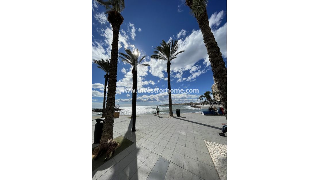 Verkoop - Appartement - Torrevieja - Playa de cura
