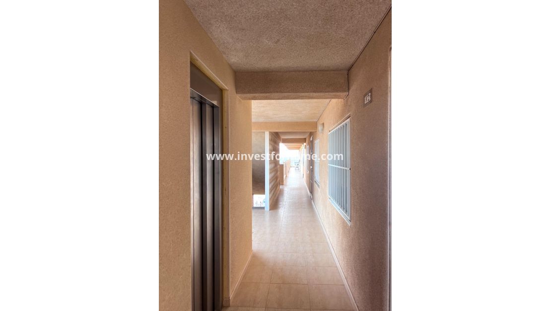 Verkoop - Appartement - Torrevieja - Playa de los Locos
