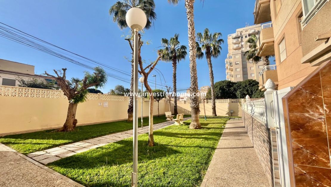 Verkoop - Appartement - Torrevieja - Playa de los Locos
