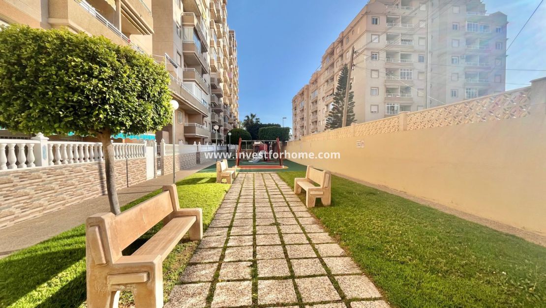 Verkoop - Appartement - Torrevieja - Playa de los Locos