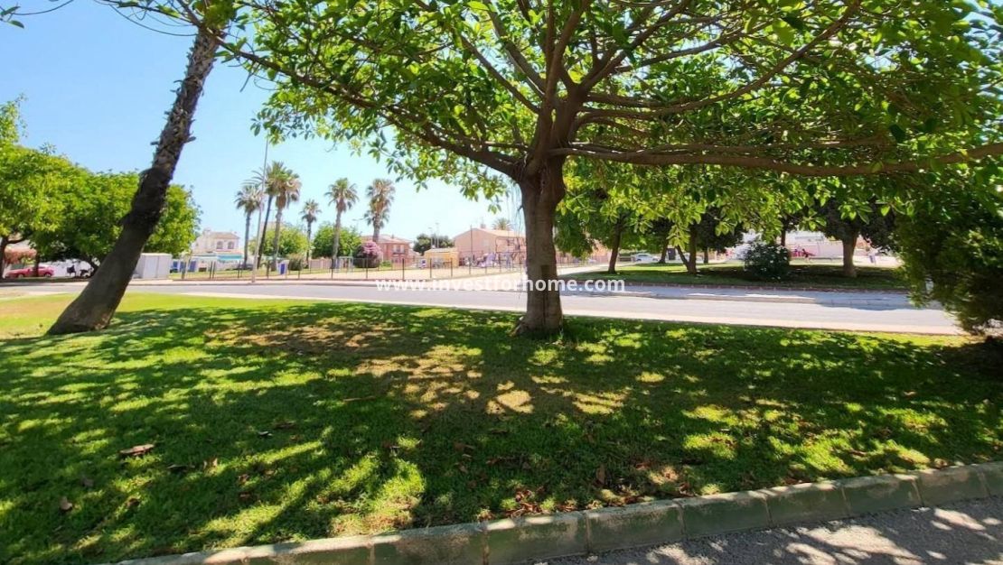 Verkoop - Appartement - Torrevieja - Playa de los Locos