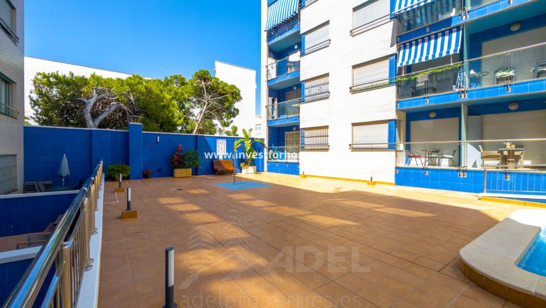 Verkoop - Appartement - Torrevieja - Playa de los Locos
