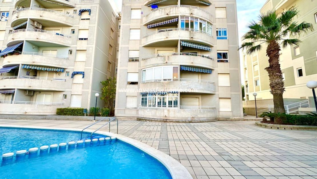 Verkoop - Appartement - Torrevieja - Playa del Cura