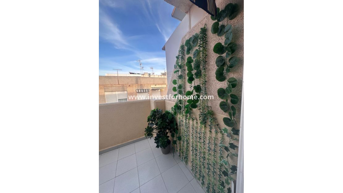 Verkoop - Appartement - Torrevieja - Playa del Cura