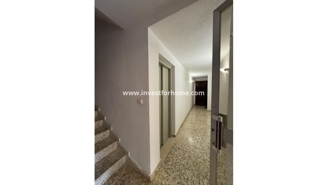 Verkoop - Appartement - Torrevieja - Playa del Cura