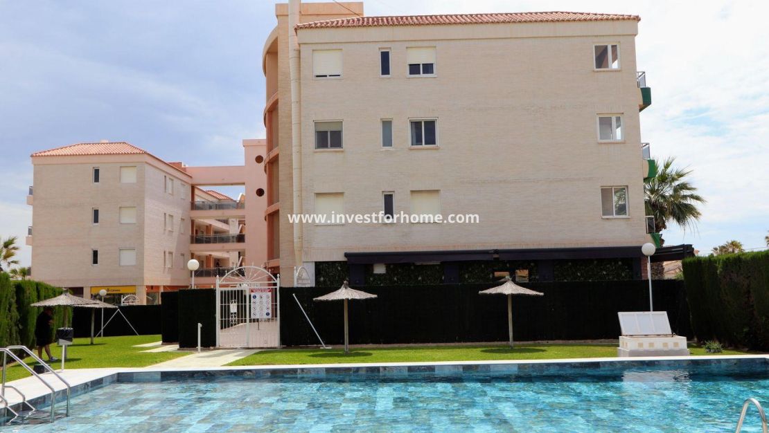 Verkoop - Appartement - Torrevieja - Playa Flamenca
