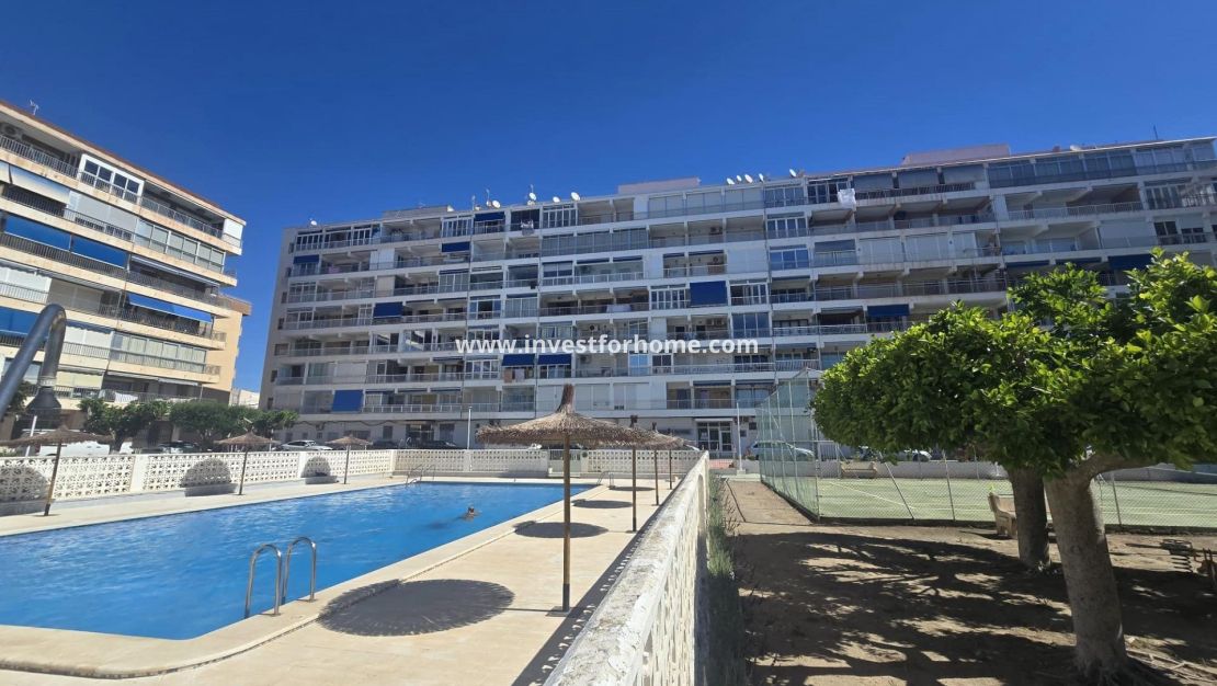 Verkoop - Appartement - Torrevieja - Puerto Deportivo Marina Salinas