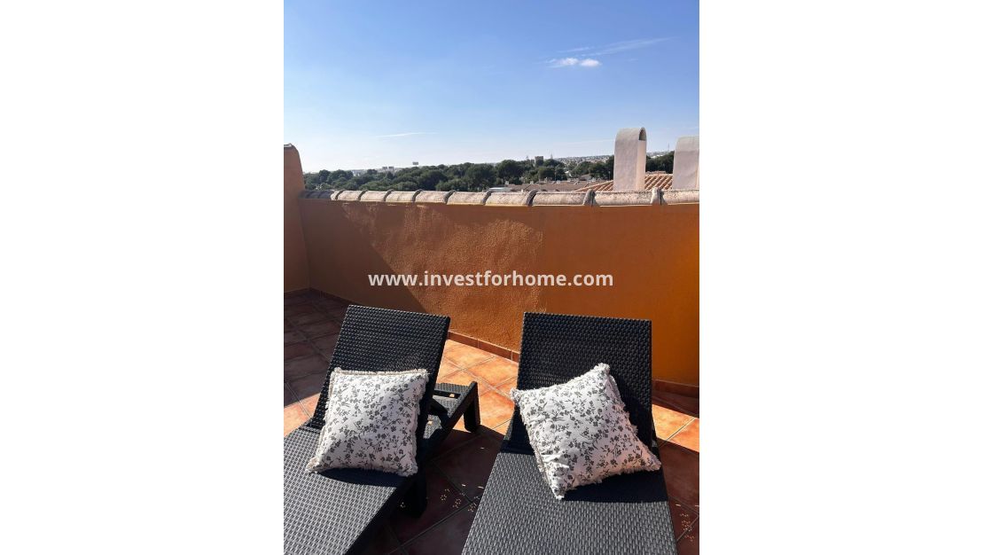 Verkoop - Appartement - Torrevieja - Punta prima