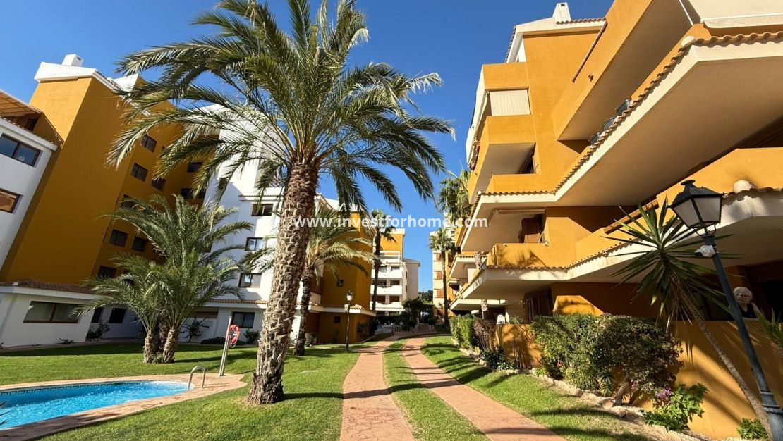 Verkoop - Appartement - Torrevieja - Punta prima