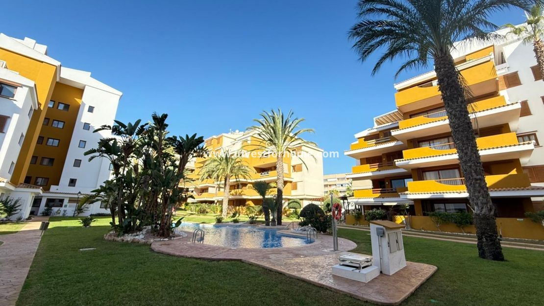 Verkoop - Appartement - Torrevieja - Punta prima