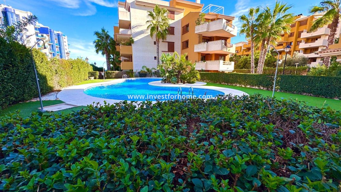 Verkoop - Appartement - Torrevieja - Punta prima