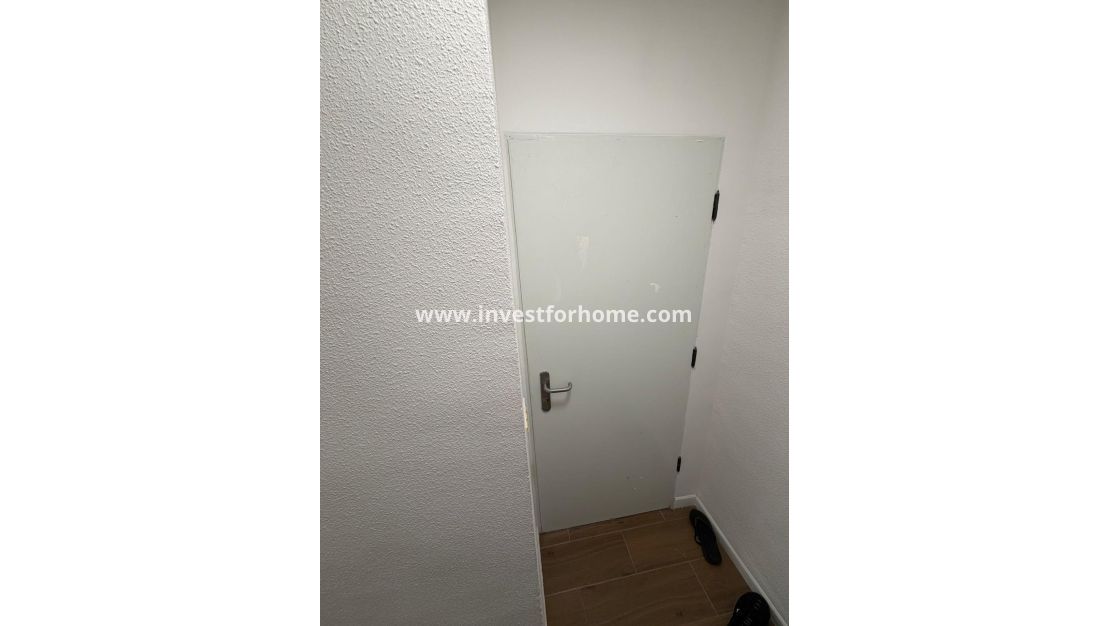 Verkoop - Appartement - Torrevieja - Punta prima