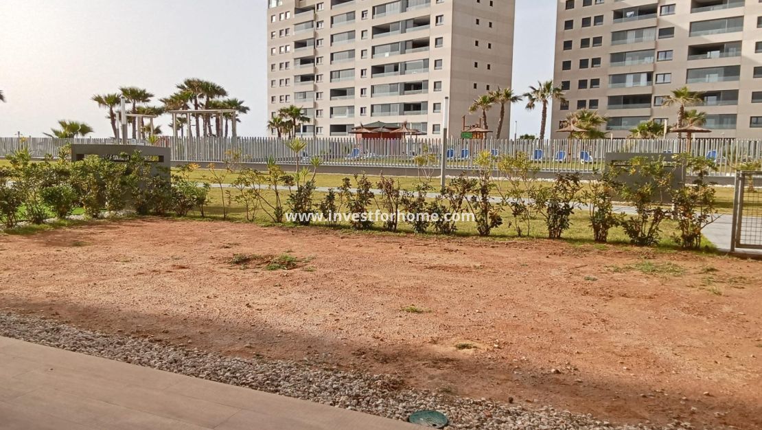 Verkoop - Appartement - Torrevieja - Punta prima