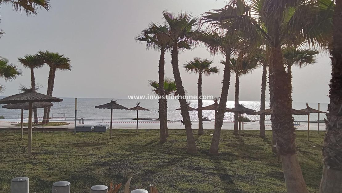 Verkoop - Appartement - Torrevieja - Punta prima