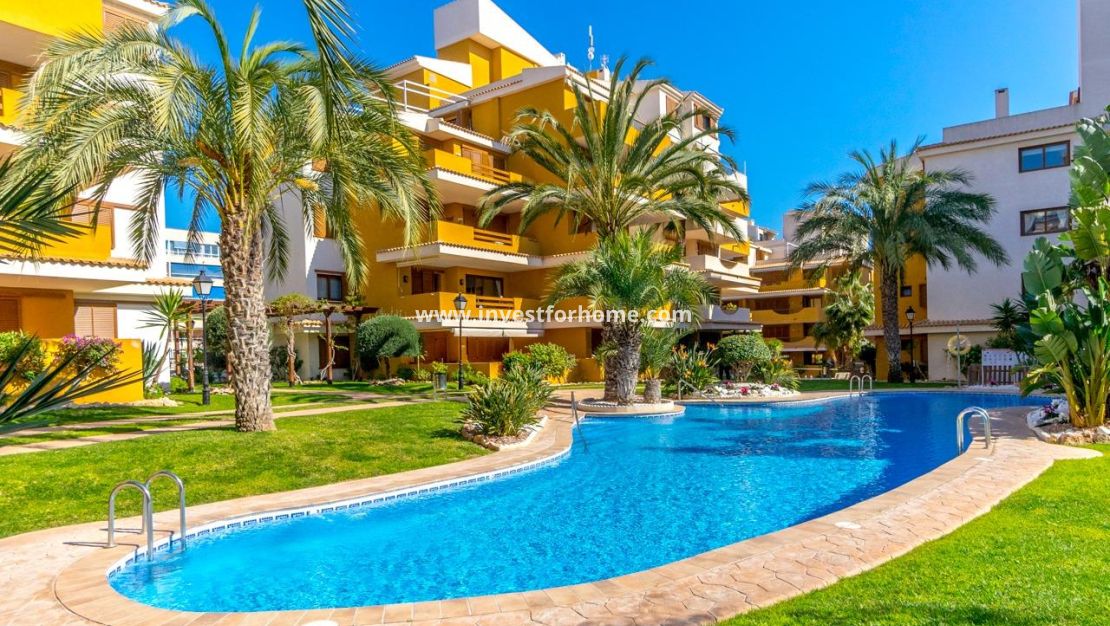 Verkoop - Appartement - Torrevieja - Punta prima