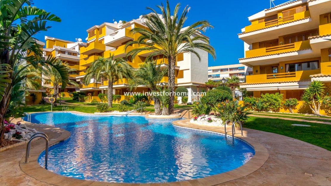 Verkoop - Appartement - Torrevieja - Punta prima