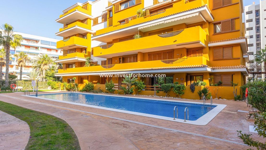 Verkoop - Appartement - Torrevieja - Punta prima