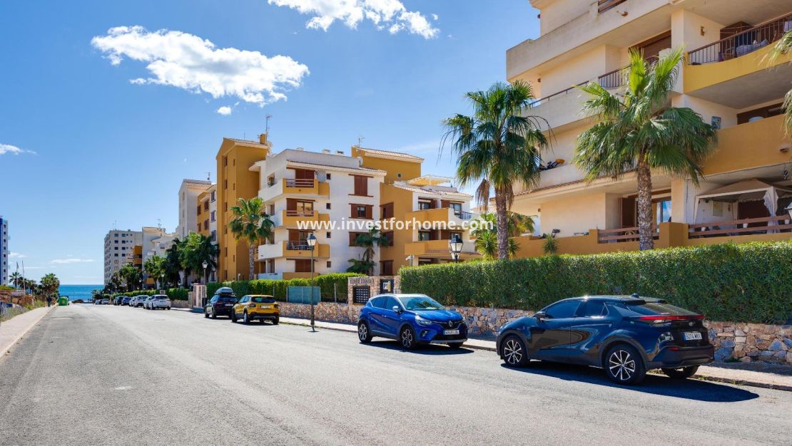 Verkoop - Appartement - Torrevieja - Punta prima