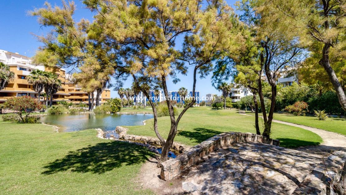 Verkoop - Appartement - Torrevieja - Punta prima