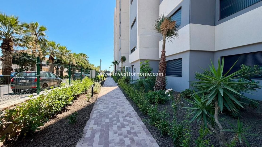 Verkoop - Appartement - Torrevieja - Punta prima