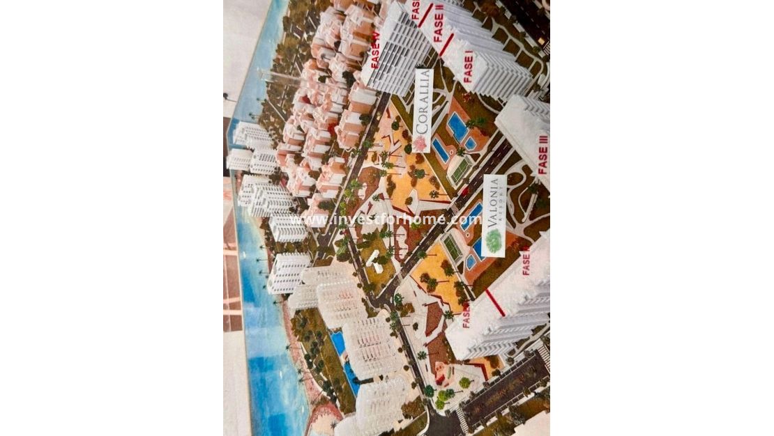 Verkoop - Appartement - Torrevieja - Punta prima