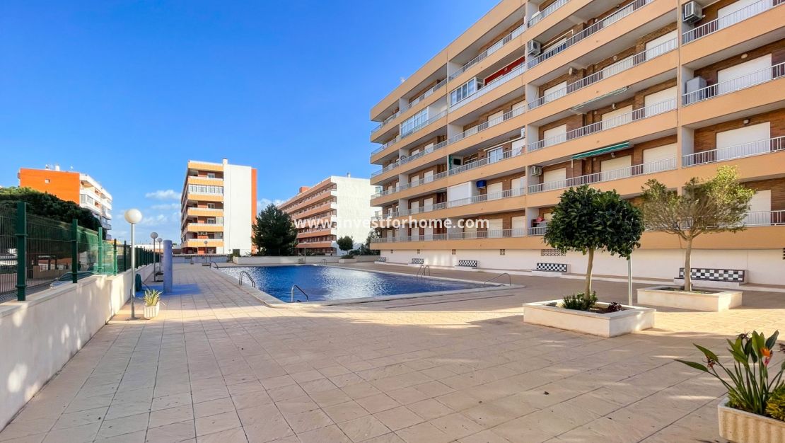 Verkoop - Appartement - Torrevieja - Punta Prima
