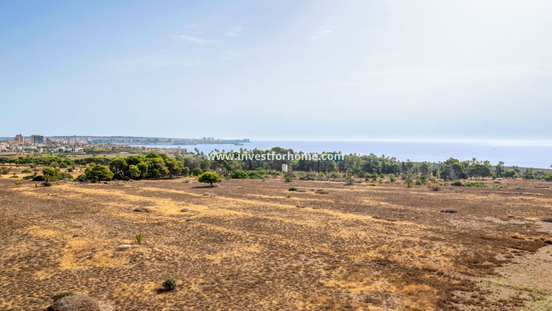 Verkoop - Appartement - Torrevieja - Punta Prima