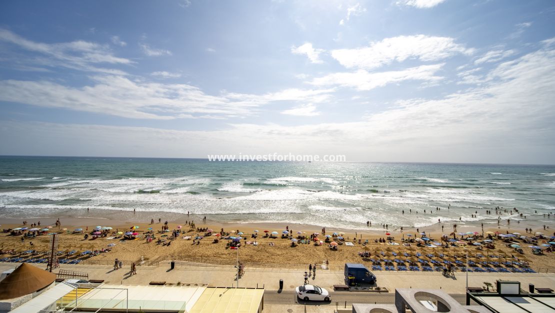 Verkoop - Appartement - Torrevieja - Torrelamata - La Mata