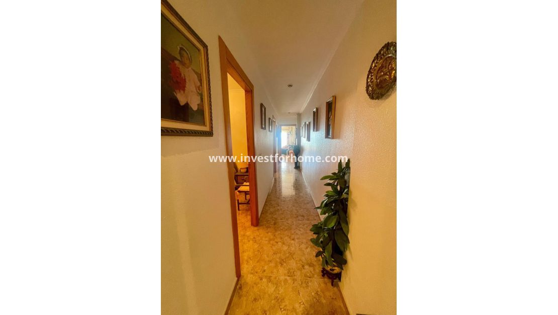 Verkoop - Appartement - Torrevieja - Torrelamata - La Mata