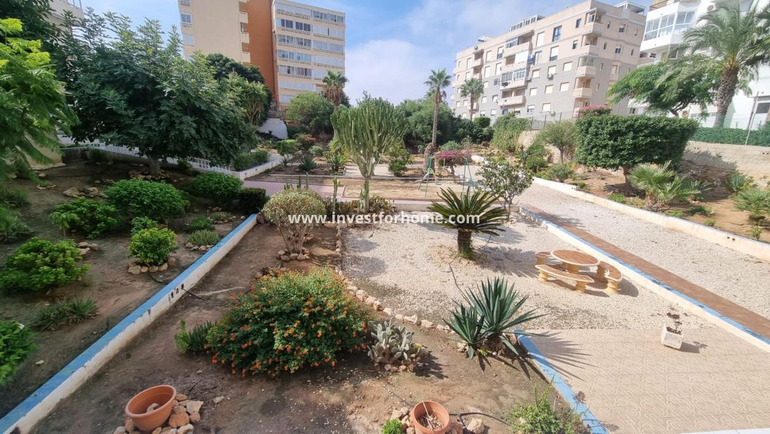 Verkoop - Appartement - Torrevieja - Torrelamata - La Mata