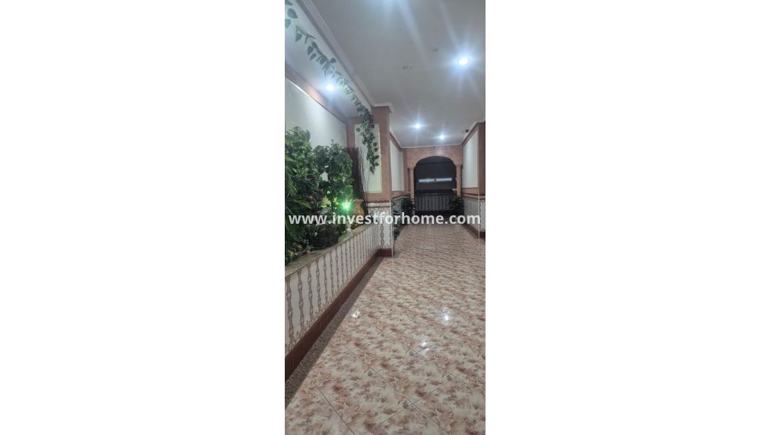 Verkoop - Appartement - Torrevieja - Torrelamata - La Mata