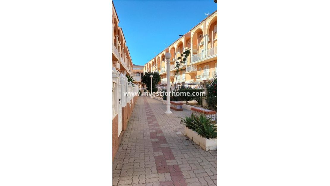 Verkoop - Appartement - Torrevieja - Torrelamata - La Mata