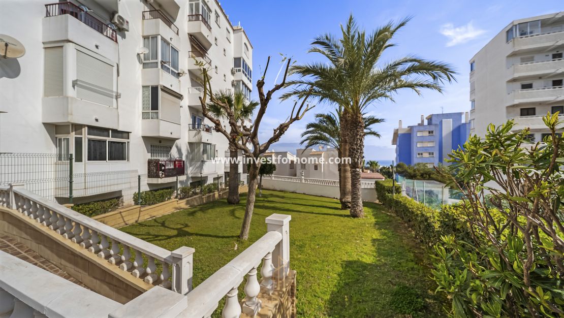 Verkoop - Appartement - Torrevieja - Torrelamata - La Mata