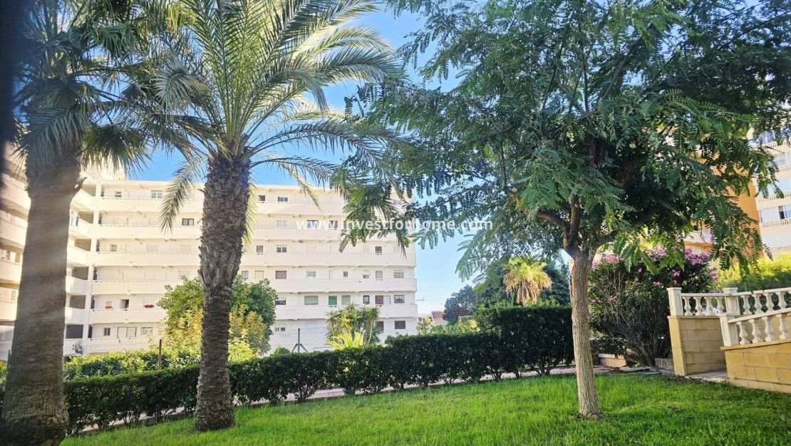 Verkoop - Appartement - Torrevieja - Torrelamata - La Mata