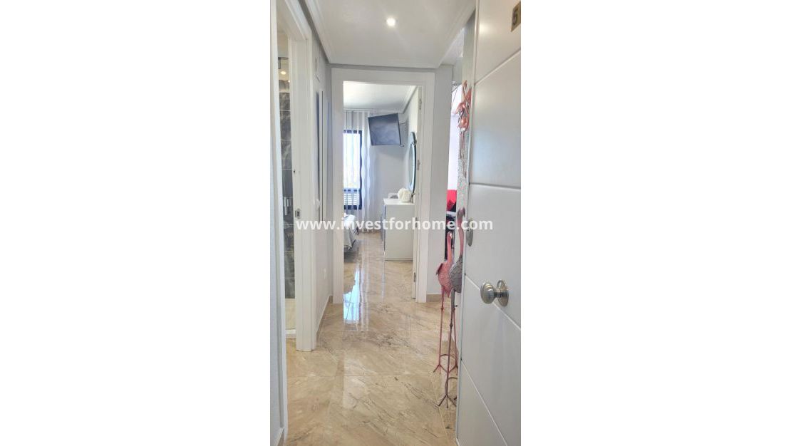 Verkoop - Appartement - Torrevieja - Torrelamata - La Mata