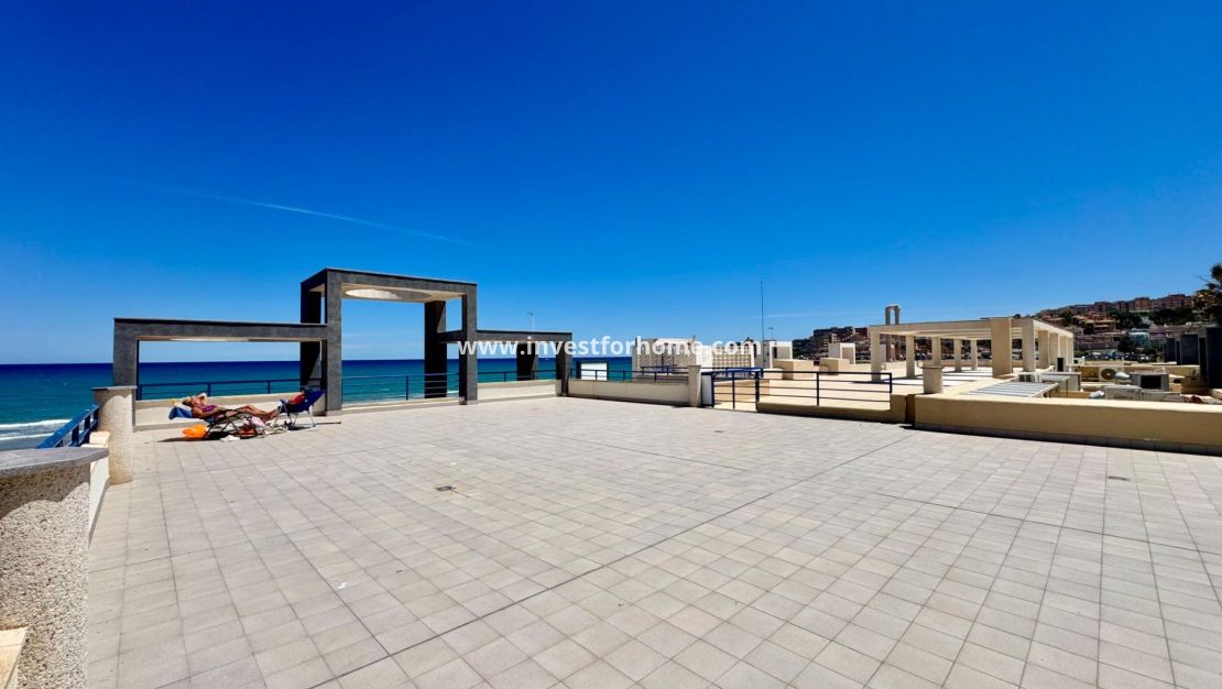 Verkoop - Appartement - Torrevieja - Torrelamata - La Mata