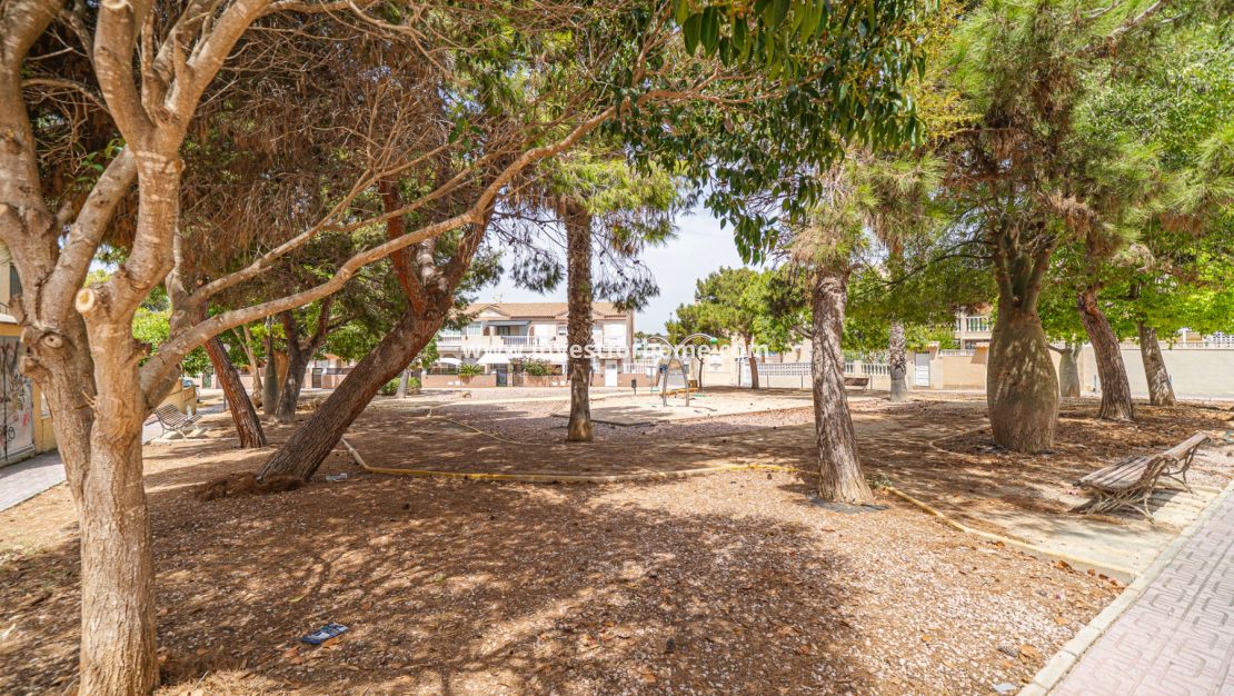 Verkoop - Appartement - Torrevieja