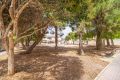 Verkoop - Appartement - Torrevieja