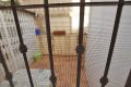 Verkoop - Bungalow - Guardamar del Segura - 03140