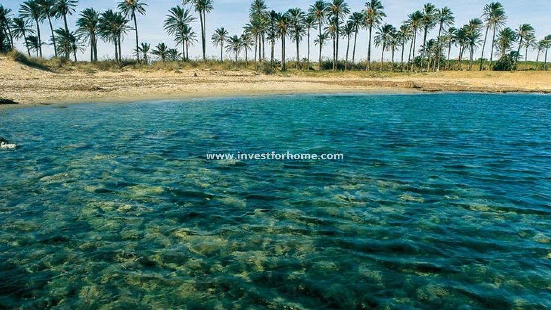Verkoop - Bungalow - Torrevieja - Costa Blanca