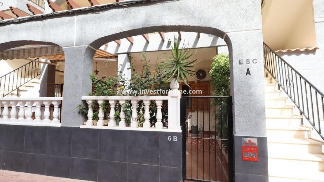 Verkoop - Bungalow - Torrevieja - Costa Blanca