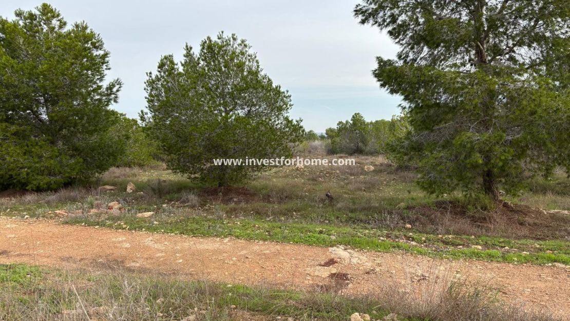 Verkoop - Bungalow - Torrevieja - La Siesta - El Salado - Torreta